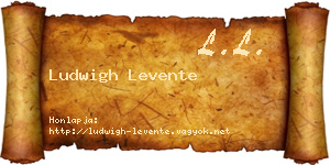 Ludwigh Levente névjegykártya